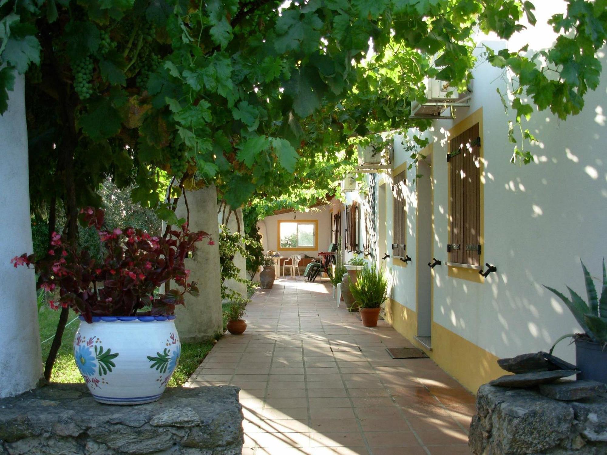Quinta Paraiso Alagoa Exteriör bild